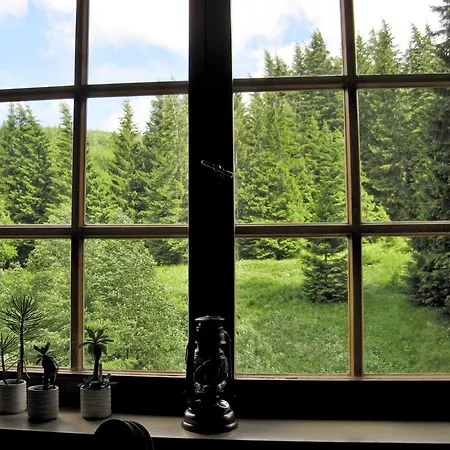 Adam Guest house 3*